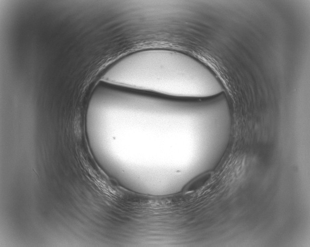 X0000068820345200605050948