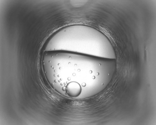 X0000068820346200605050948