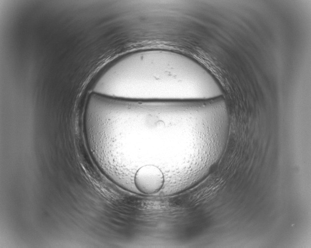 X0000068820347200605050948