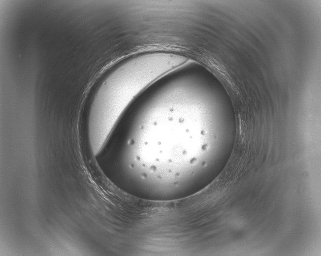 X0000068820348200605050948