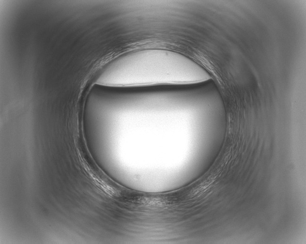 X0000068820349200605050948