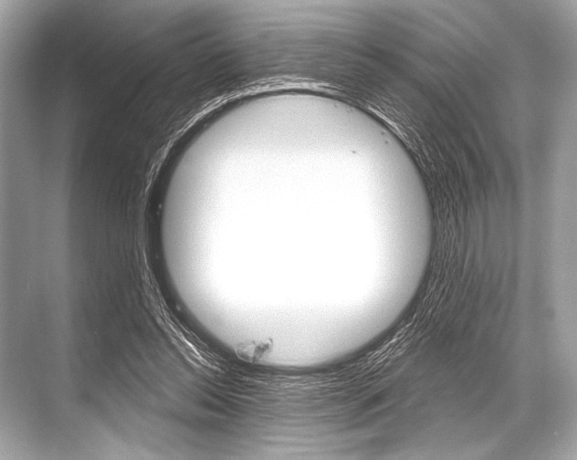 X0000068820350200605050948