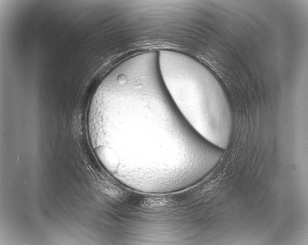 X0000068820351200605050948