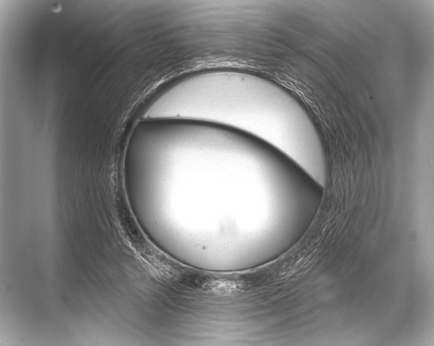 X0000068820352200605050948