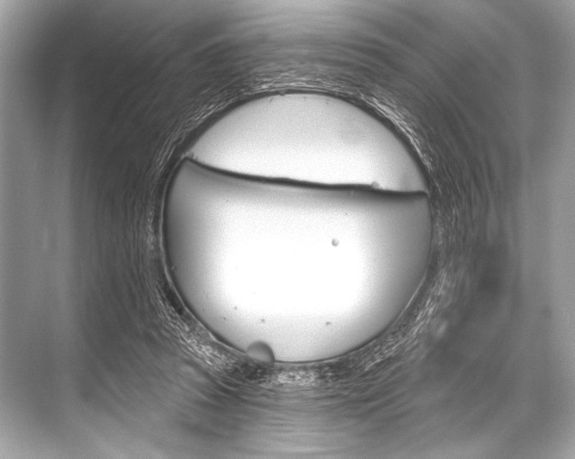 X0000068820353200605050948