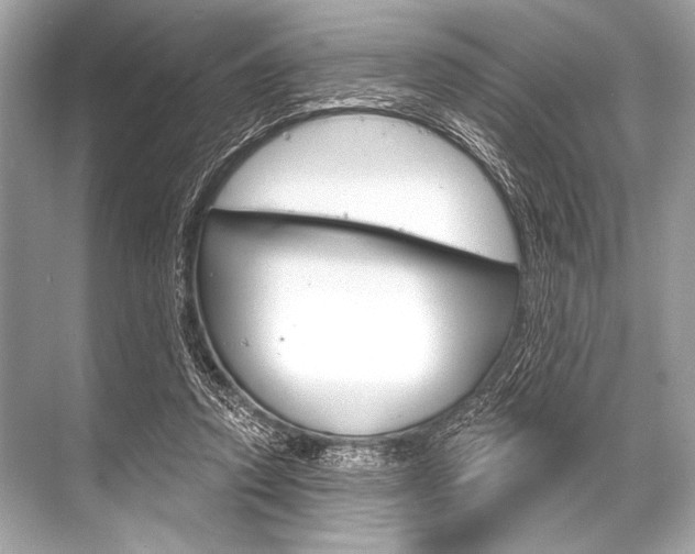 X0000068820354200605050948