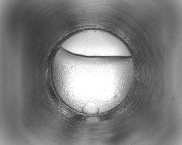 X0000068820355200605050948