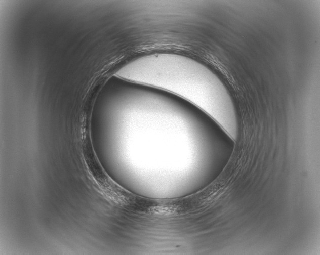 X0000068820356200605050948