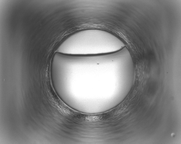 X0000068820357200605050948