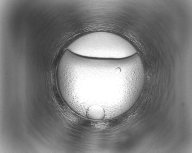 X0000068820359200605050948