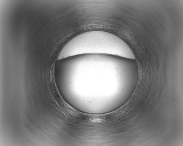 X0000068820360200605050948