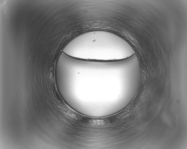 X0000068820361200605050948