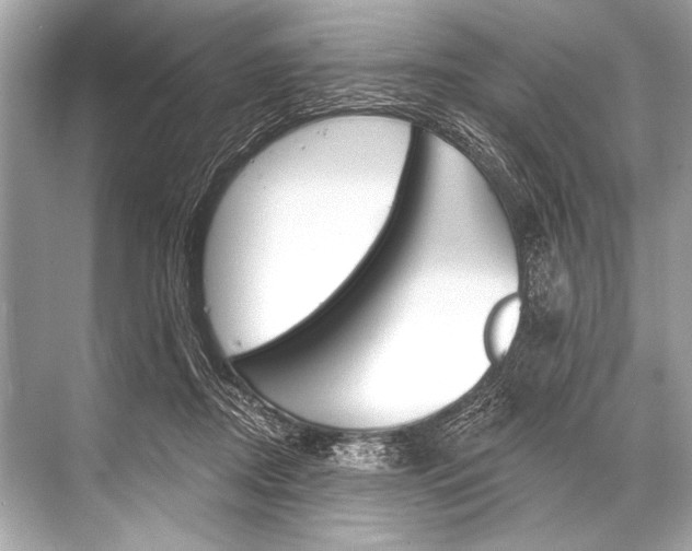 X0000068820362200605050948