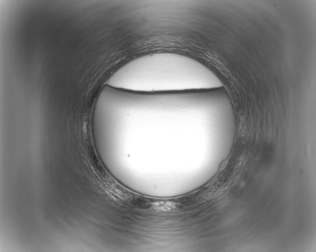 X0000068820363200605050948