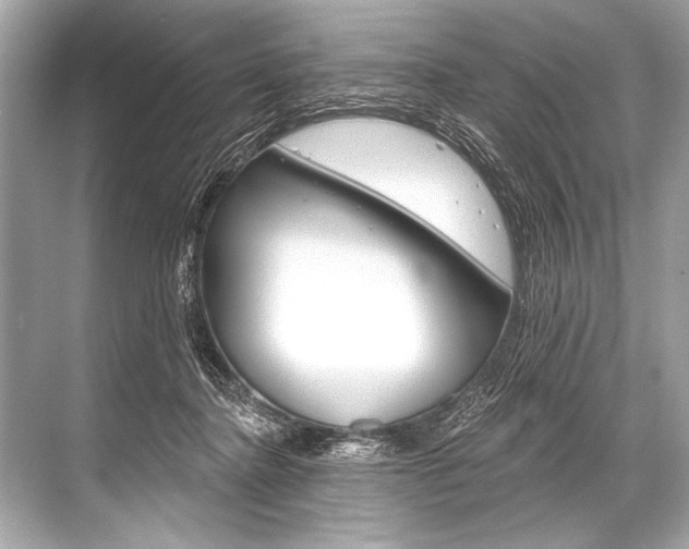 X0000068820364200605050948