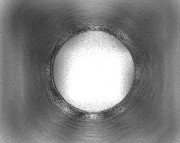 X0000068820365200605050948