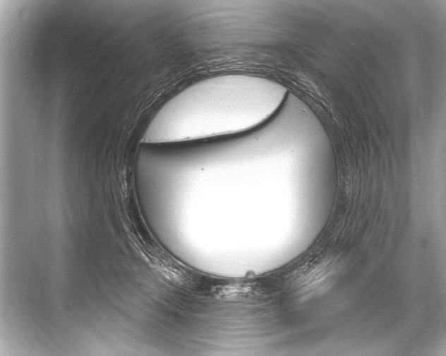 X0000068820366200605050948