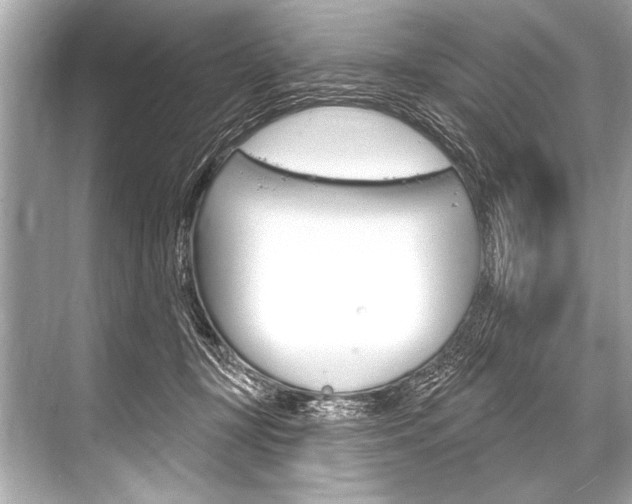 X0000068820367200605050948