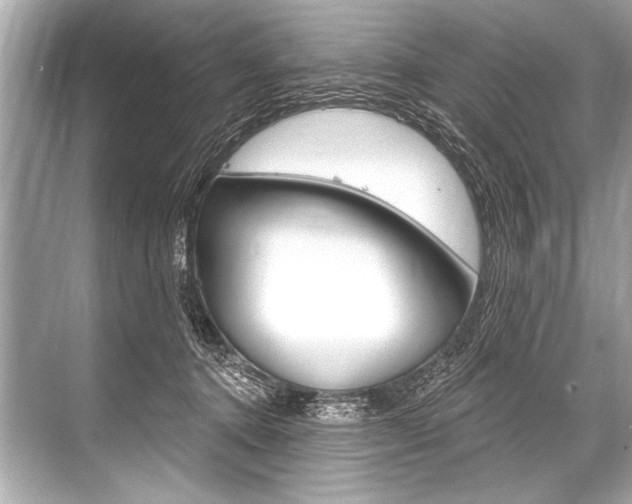 X0000068820368200605050948