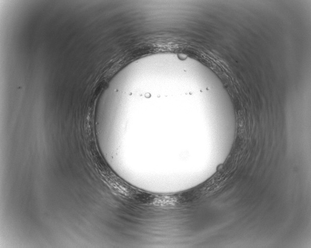 X0000068820369200605050948