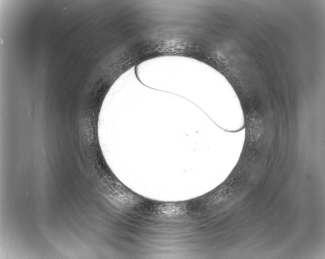 X0000068820370200605050948