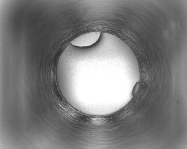 X0000068820371200605050948