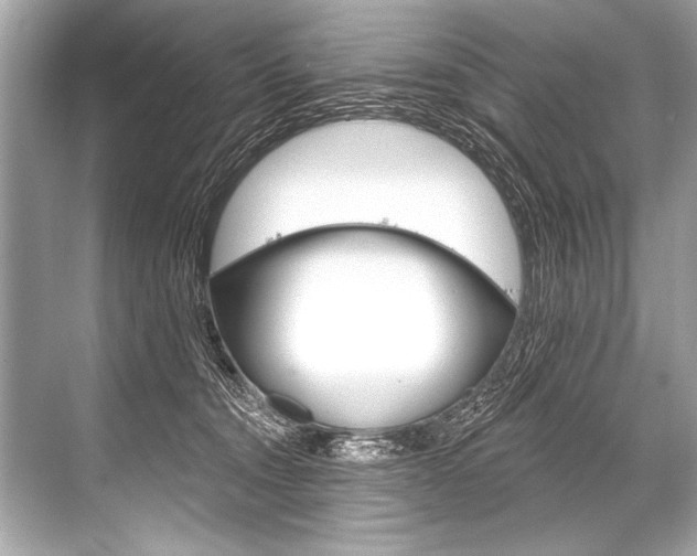 X0000068820372200605050948