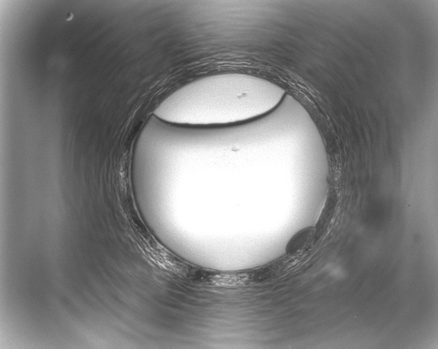 X0000068820373200605050948