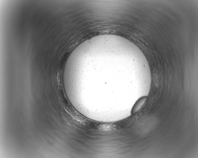 X0000068820375200605050948