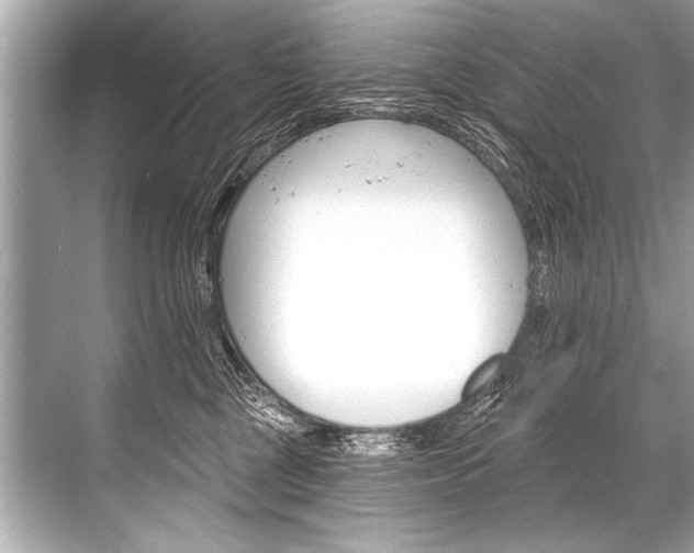 X0000068820377200605050948