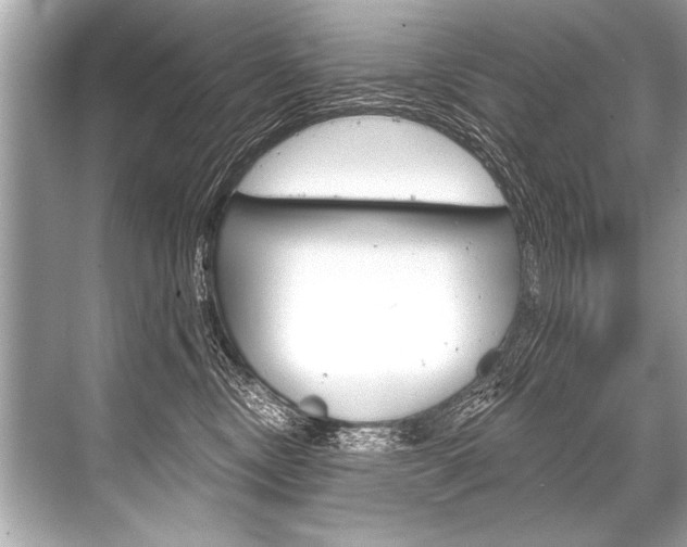 X0000068820378200605050948