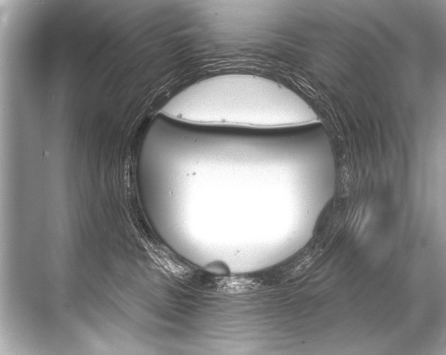 X0000068820379200605050948