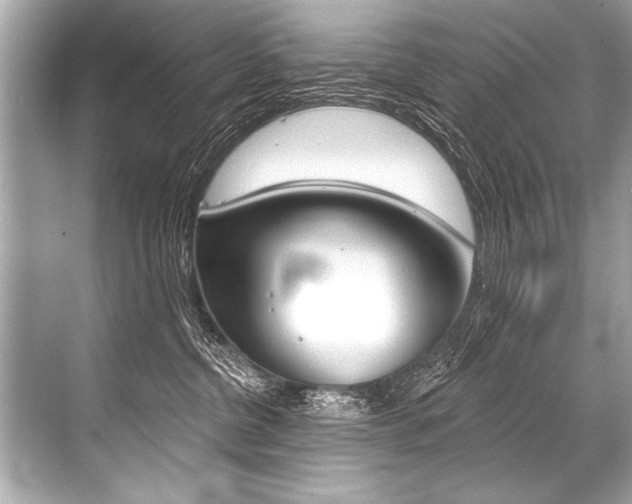 X0000068820380200605050948