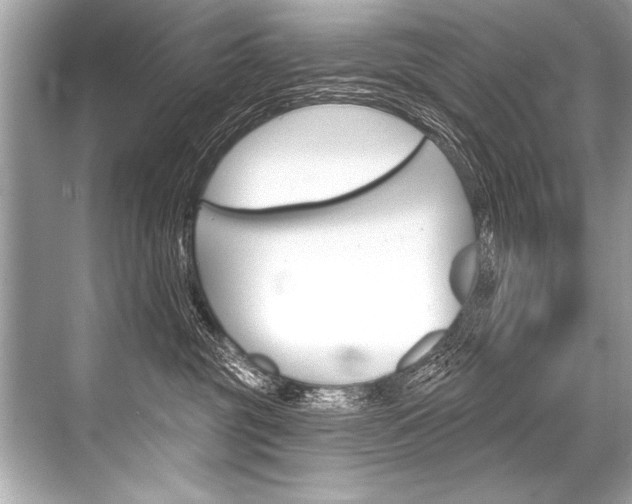 X0000068820381200605050948