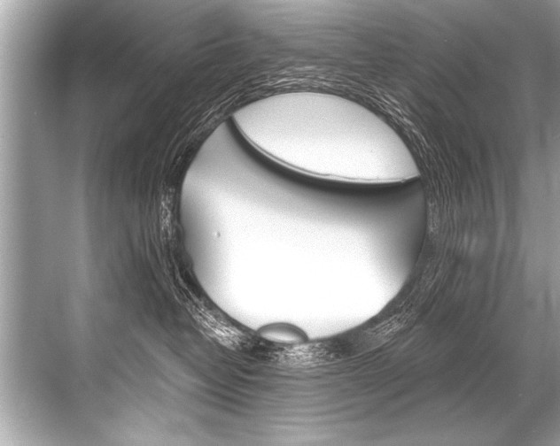 X0000068820382200605050948