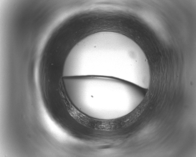 X0000068820383200605050949