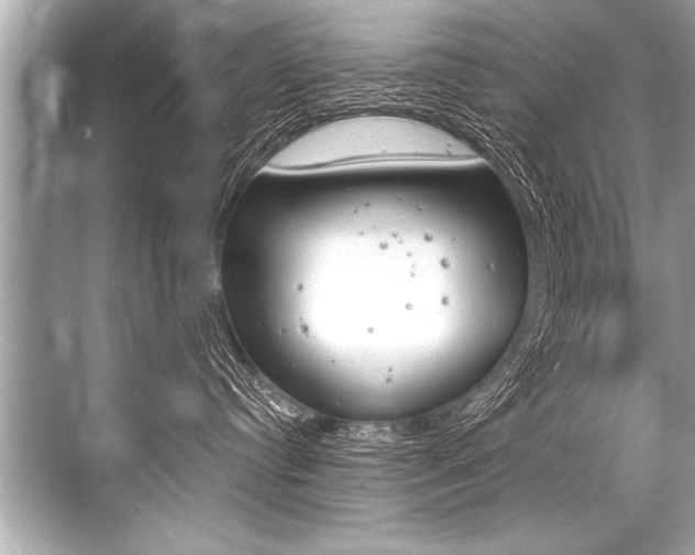 X0000068820384200605050949