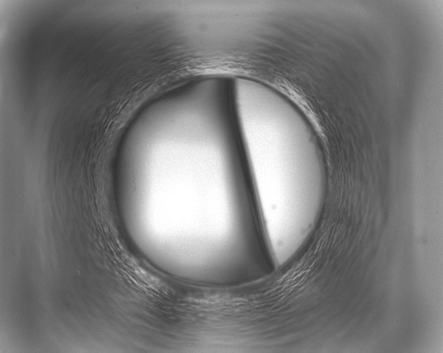 X0000068820385200605050948