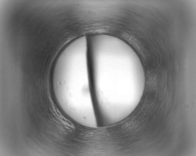 X0000068820386200605050948