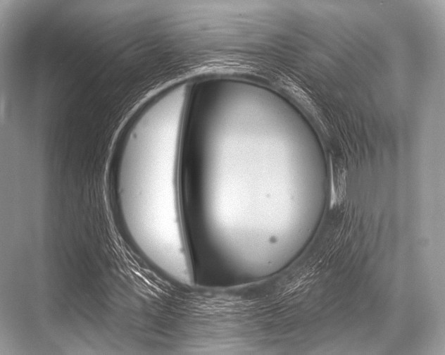 X0000068820387200605050948