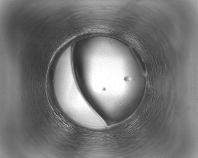 X0000068820388200605050948