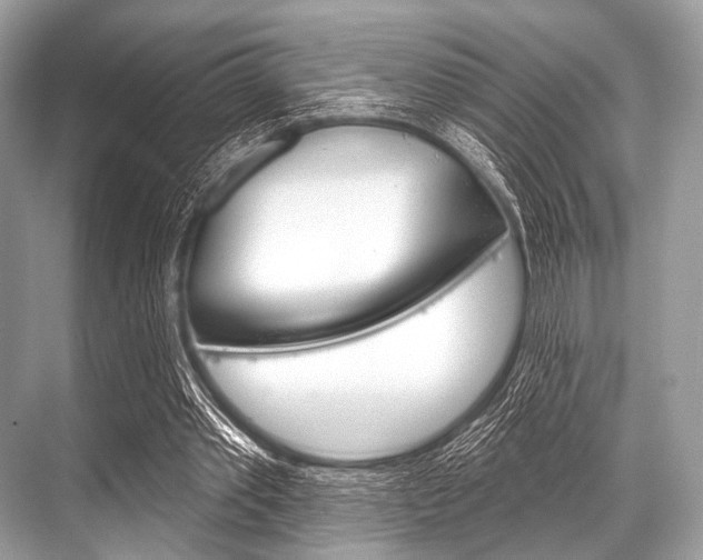 X0000068820389200605050948