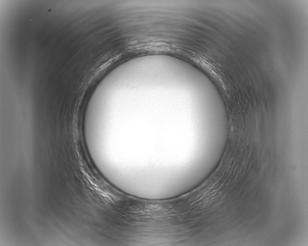 X0000068820390200605050948