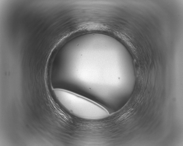 X0000068820391200605050948