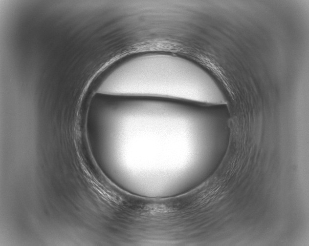 X0000068820392200605050948