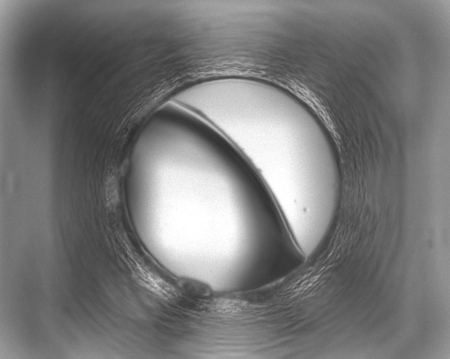 X0000068820393200605050948