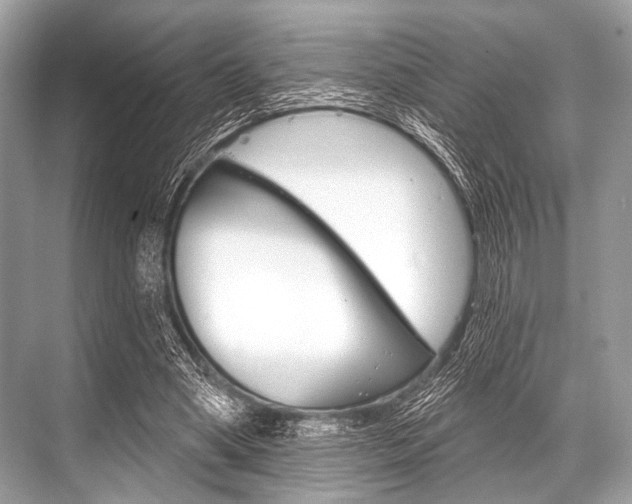 X0000068820394200605050948