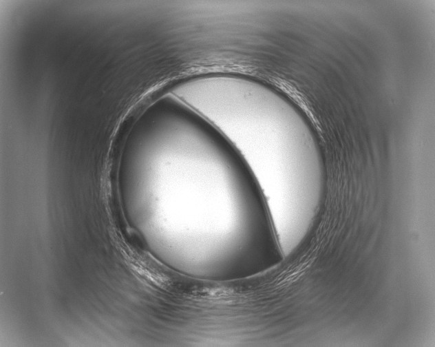 X0000068820395200605050948