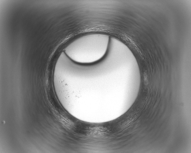 X0000068820396200605050948