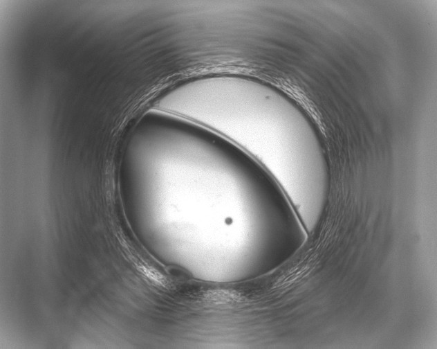 X0000068820397200605050948